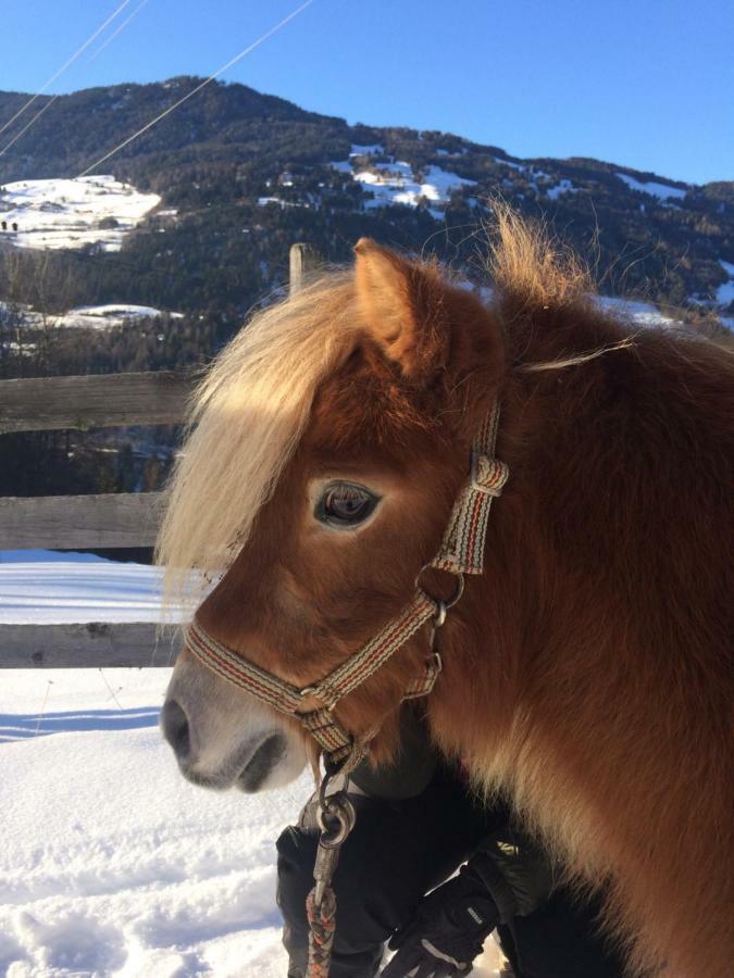 Apart.Pitztal Arzl im Pitztal Eksteriør billede