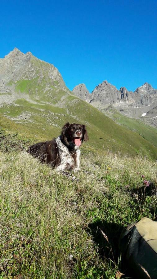 Apart.Pitztal Arzl im Pitztal Eksteriør billede